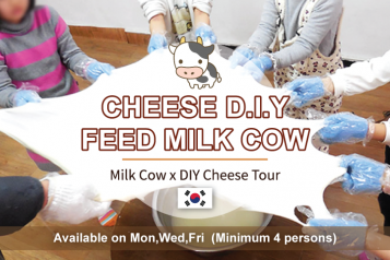 Milk Cow X DIY Cheezy