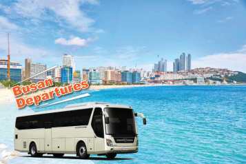 Private Car Service from Busan 45-Seater