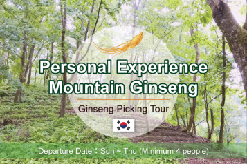 Ginseng Picking Day Tour