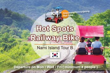 Nami Island B Tour