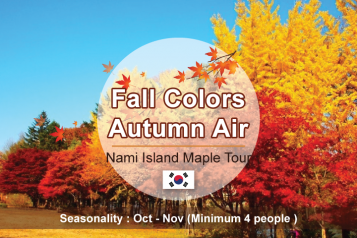 Nami Maple Leaf Tour