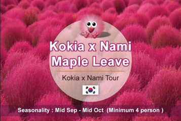 Kokia X Nami Tour