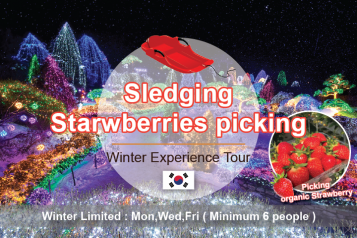 Snowy Sledding + Strawberry Tour