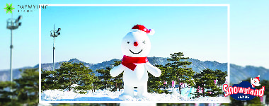 Snowyland Admission Ticket