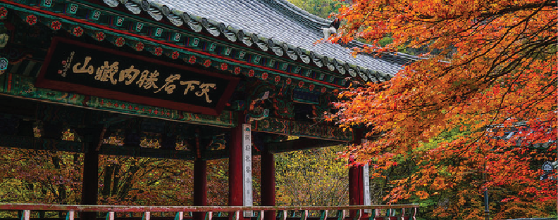 2019 Naejangsan Maple Season