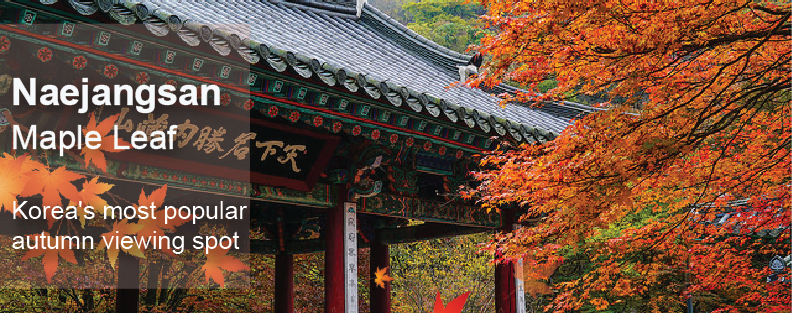 2019 DAEGU CHIMAC FESTIVAL+KPOP