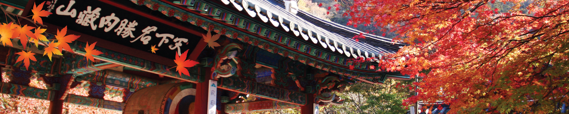 2019 Naejangsan Maple Season